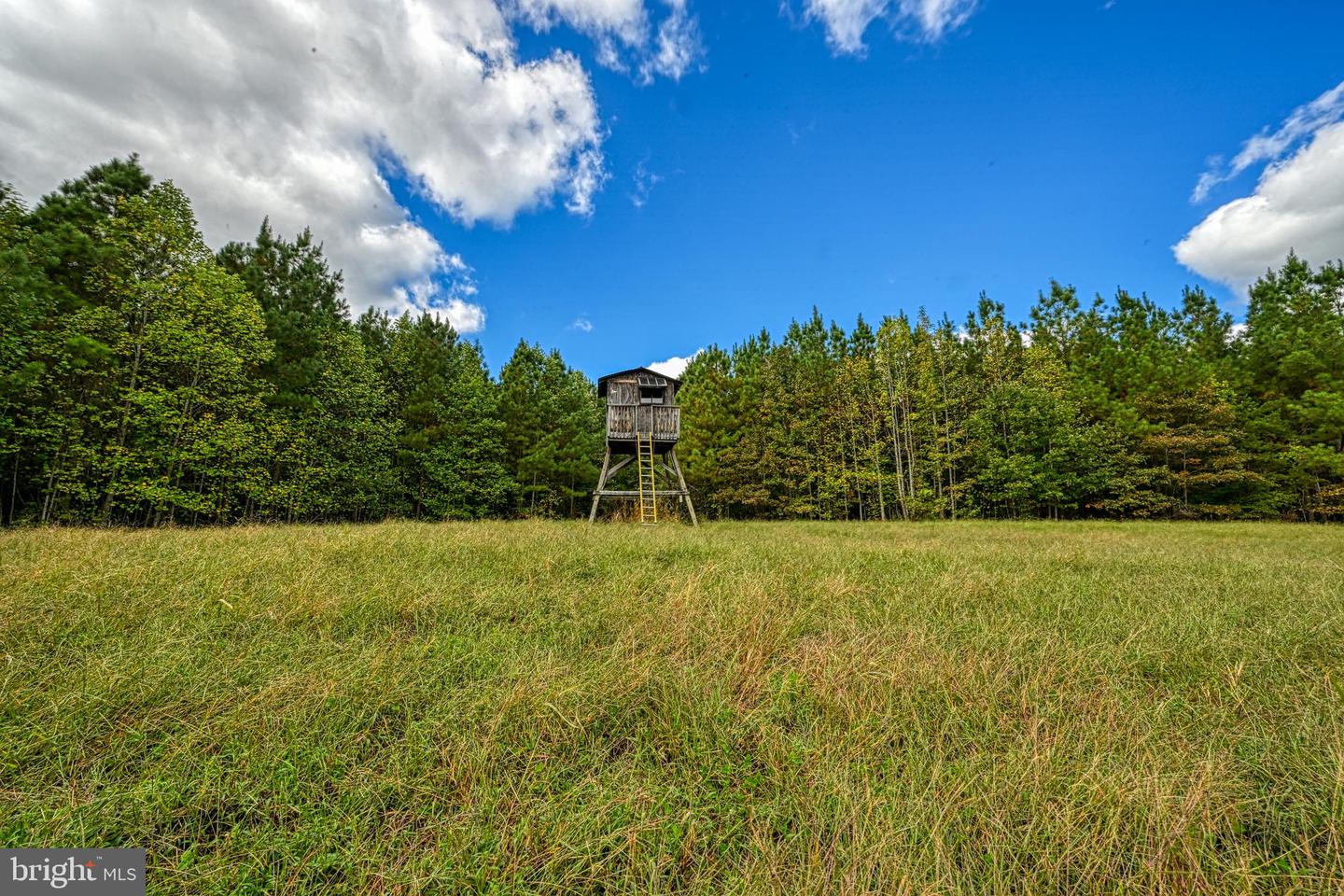 CROSS COUNTRY RD., MINERAL, Virginia 23117, ,Farm,For Sale,CROSS COUNTRY RD.,VALA2008722 MLS # VALA2008722 CROSS COUNTRY RD., MINERAL, Virginia 23117, ,Farm,For Sale,CROSS COUNTRY RD.,VALA2008722 MLS # VALA2008722