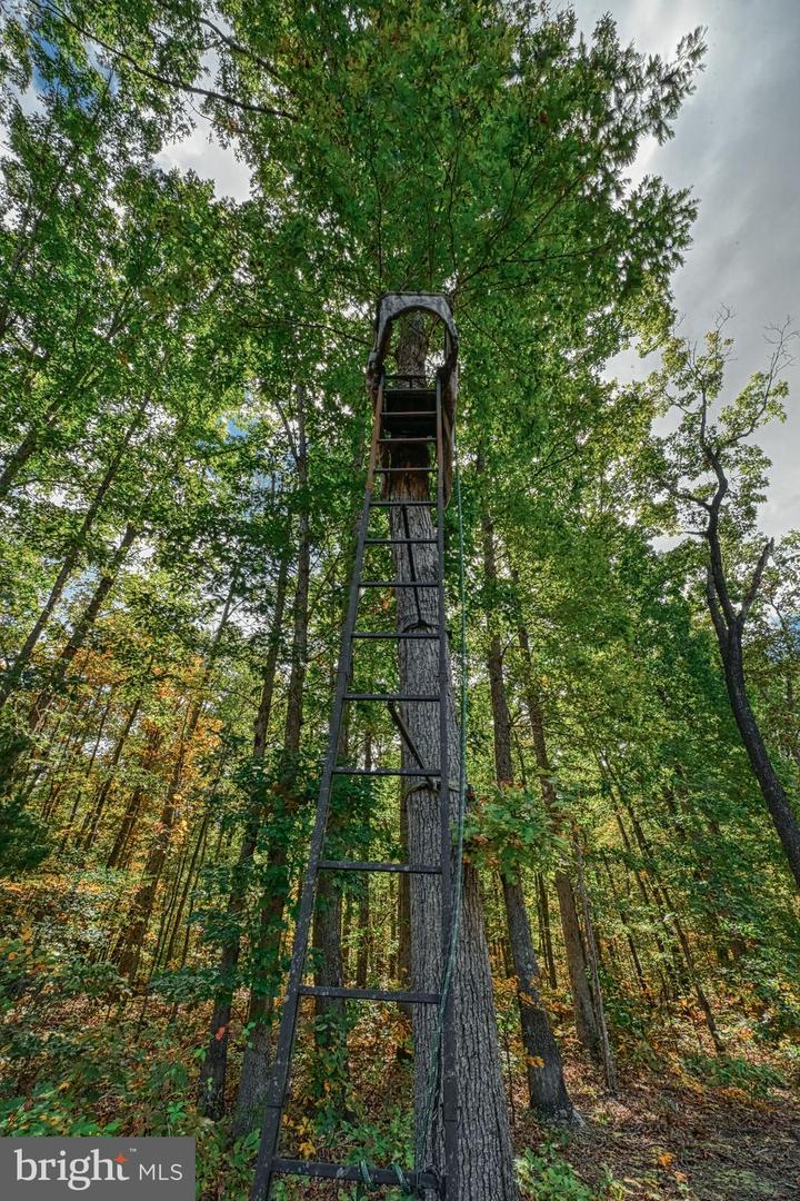 CROSS COUNTRY RD., MINERAL, Virginia 23117, ,Farm,For Sale,CROSS COUNTRY RD.,VALA2008722 MLS # VALA2008722 CROSS COUNTRY RD., MINERAL, Virginia 23117, ,Farm,For Sale,CROSS COUNTRY RD.,VALA2008722 MLS # VALA2008722