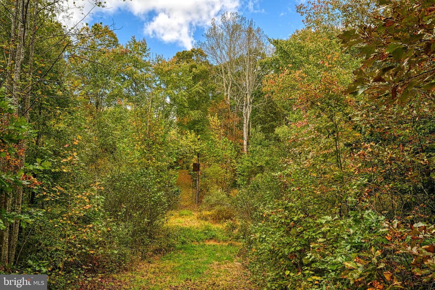 CROSS COUNTRY RD., MINERAL, Virginia 23117, ,Farm,For Sale,CROSS COUNTRY RD.,VALA2008722 MLS # VALA2008722 CROSS COUNTRY RD., MINERAL, Virginia 23117, ,Farm,For Sale,CROSS COUNTRY RD.,VALA2008722 MLS # VALA2008722