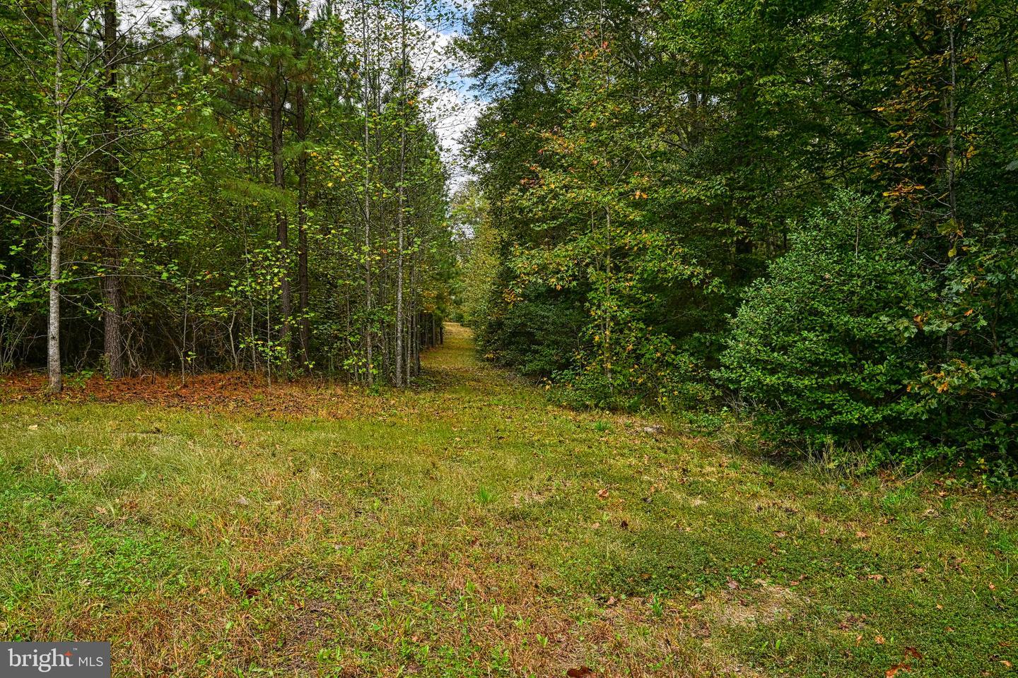 CROSS COUNTRY RD., MINERAL, Virginia 23117, ,Farm,For Sale,CROSS COUNTRY RD.,VALA2008722 MLS # VALA2008722 CROSS COUNTRY RD., MINERAL, Virginia 23117, ,Farm,For Sale,CROSS COUNTRY RD.,VALA2008722 MLS # VALA2008722