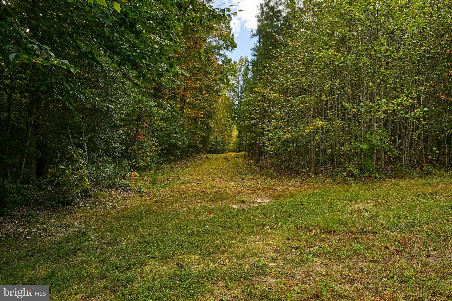 CROSS COUNTRY RD., MINERAL, Virginia 23117, ,Farm,For Sale,CROSS COUNTRY RD.,VALA2008722 MLS # VALA2008722 CROSS COUNTRY RD., MINERAL, Virginia 23117, ,Farm,For Sale,CROSS COUNTRY RD.,VALA2008722 MLS # VALA2008722