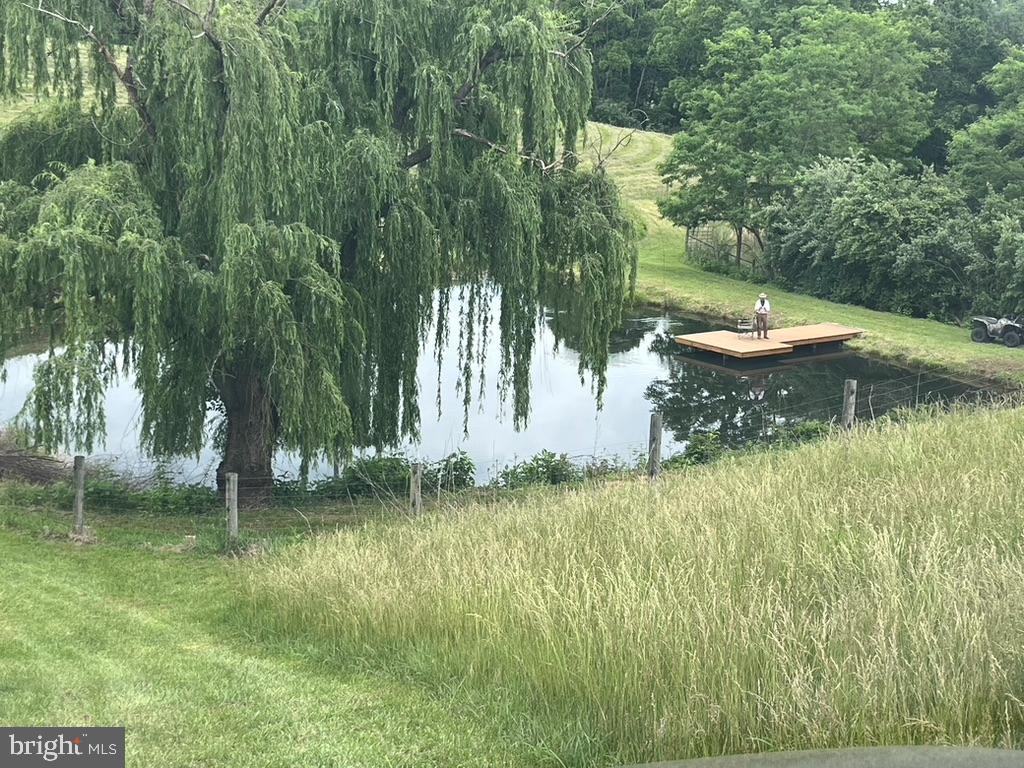 180 FIVE FORKS RD, WOODVILLE, Virginia 22749, 1 Bedroom Bedrooms, ,Farm,For Sale,180 FIVE FORKS RD,VARP2002330 MLS # VARP2002330 180 FIVE FORKS RD, WOODVILLE, Virginia 22749, 1 Bedroom Bedrooms, ,Farm,For Sale,180 FIVE FORKS RD,VARP2002330 MLS # VARP2002330