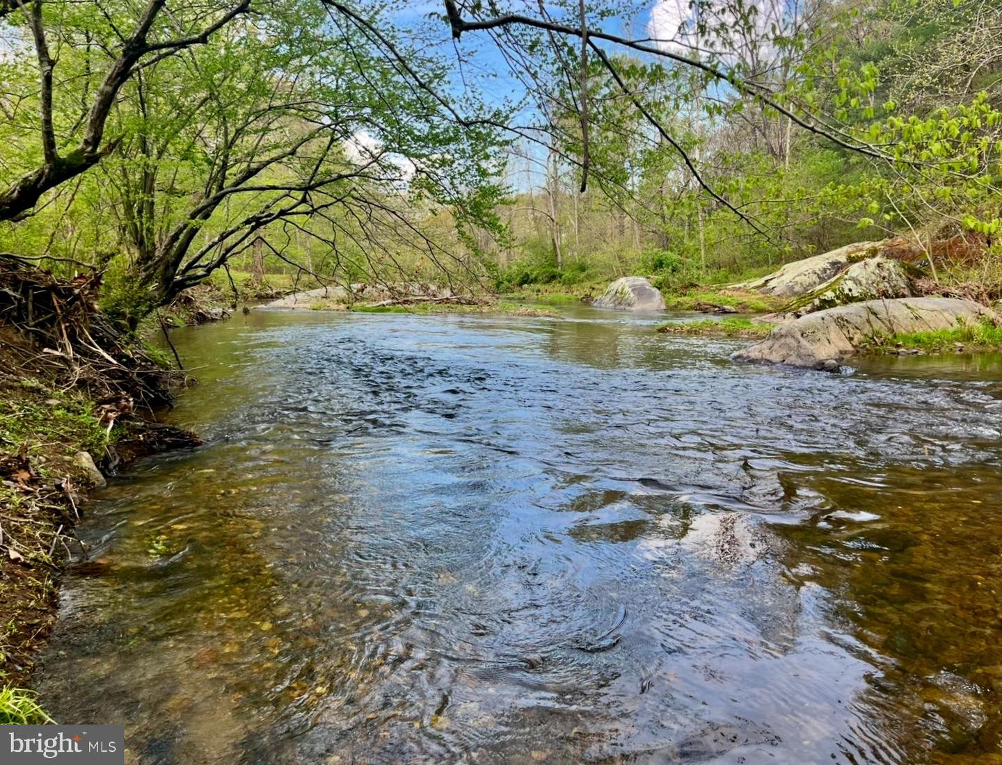 180 FIVE FORKS RD, WOODVILLE, Virginia 22749, 1 Bedroom Bedrooms, ,Farm,For Sale,180 FIVE FORKS RD,VARP2002330 MLS # VARP2002330 180 FIVE FORKS RD, WOODVILLE, Virginia 22749, 1 Bedroom Bedrooms, ,Farm,For Sale,180 FIVE FORKS RD,VARP2002330 MLS # VARP2002330