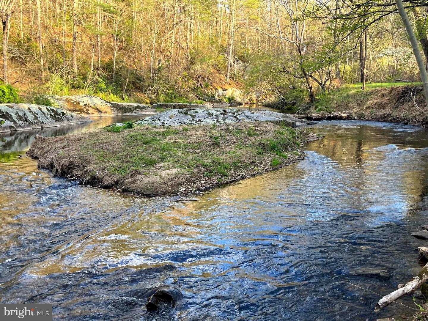 180 FIVE FORKS RD, WOODVILLE, Virginia 22749, 1 Bedroom Bedrooms, ,Farm,For Sale,180 FIVE FORKS RD,VARP2002330 MLS # VARP2002330 180 FIVE FORKS RD, WOODVILLE, Virginia 22749, 1 Bedroom Bedrooms, ,Farm,For Sale,180 FIVE FORKS RD,VARP2002330 MLS # VARP2002330