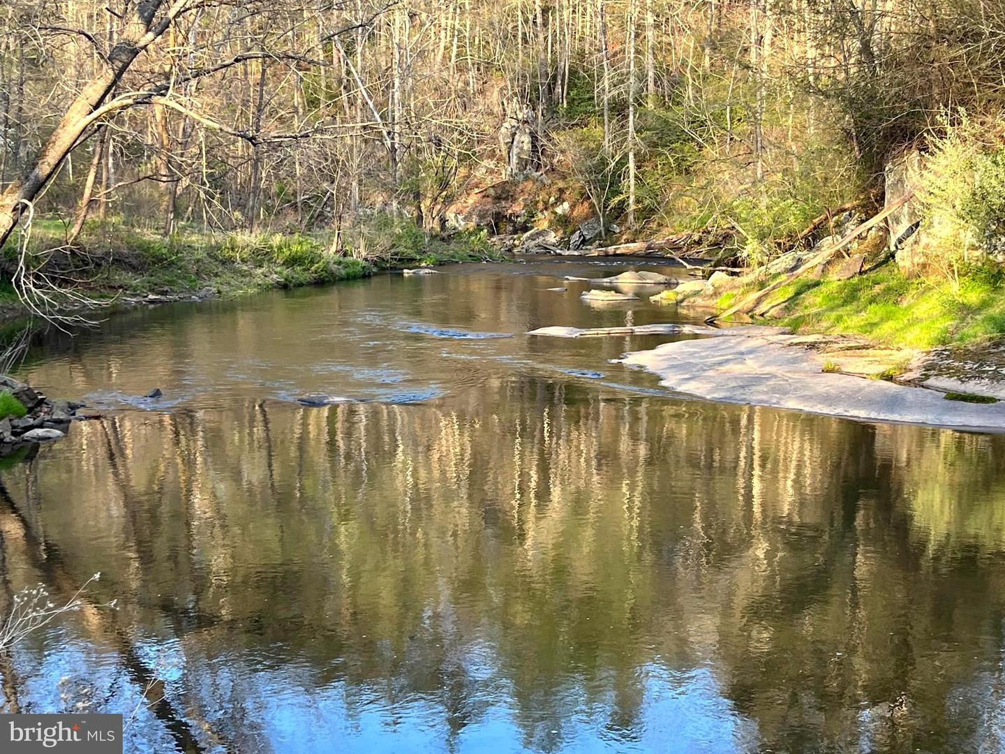 180 FIVE FORKS RD, WOODVILLE, Virginia 22749, 1 Bedroom Bedrooms, ,Farm,For Sale,180 FIVE FORKS RD,VARP2002330 MLS # VARP2002330 180 FIVE FORKS RD, WOODVILLE, Virginia 22749, 1 Bedroom Bedrooms, ,Farm,For Sale,180 FIVE FORKS RD,VARP2002330 MLS # VARP2002330