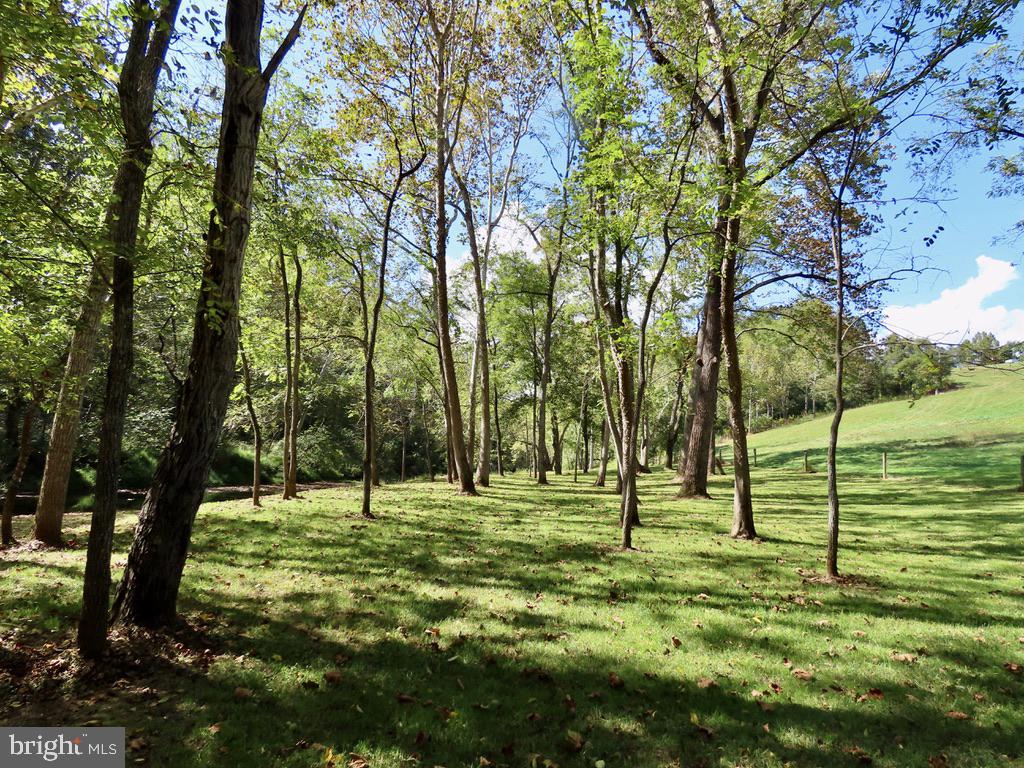 180 FIVE FORKS RD, WOODVILLE, Virginia 22749, 1 Bedroom Bedrooms, ,Farm,For Sale,180 FIVE FORKS RD,VARP2002330 MLS # VARP2002330 180 FIVE FORKS RD, WOODVILLE, Virginia 22749, 1 Bedroom Bedrooms, ,Farm,For Sale,180 FIVE FORKS RD,VARP2002330 MLS # VARP2002330