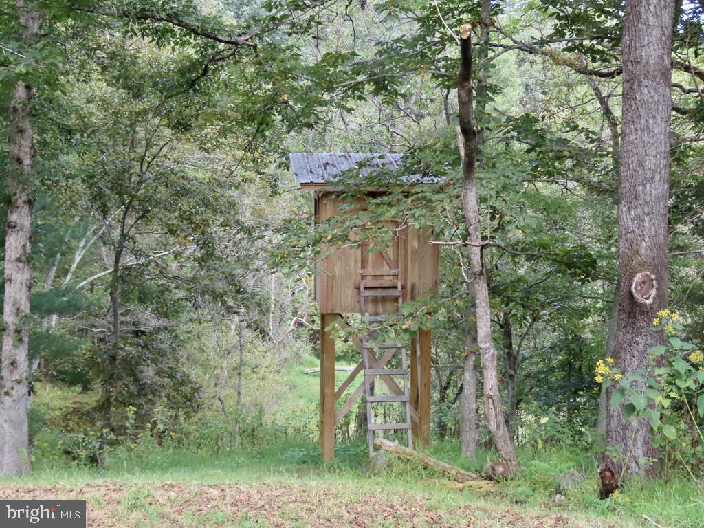 180 FIVE FORKS RD, WOODVILLE, Virginia 22749, 1 Bedroom Bedrooms, ,Farm,For Sale,180 FIVE FORKS RD,VARP2002330 MLS # VARP2002330 180 FIVE FORKS RD, WOODVILLE, Virginia 22749, 1 Bedroom Bedrooms, ,Farm,For Sale,180 FIVE FORKS RD,VARP2002330 MLS # VARP2002330