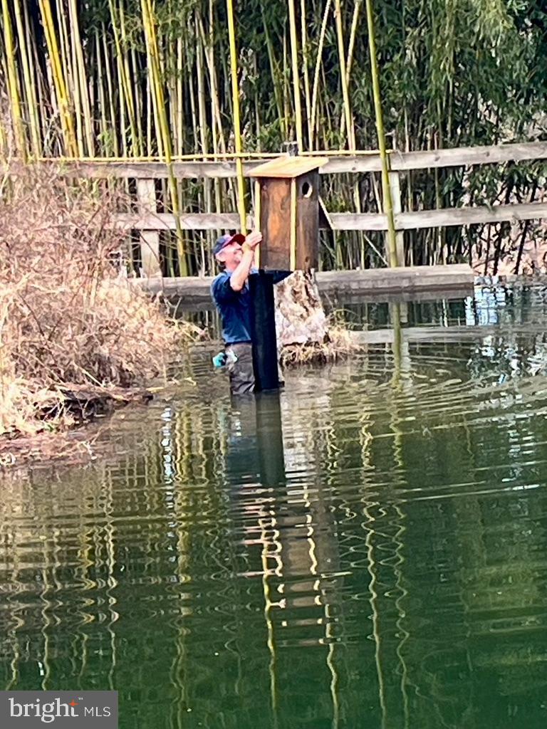 180 FIVE FORKS RD, WOODVILLE, Virginia 22749, 1 Bedroom Bedrooms, ,Farm,For Sale,180 FIVE FORKS RD,VARP2002330 MLS # VARP2002330 180 FIVE FORKS RD, WOODVILLE, Virginia 22749, 1 Bedroom Bedrooms, ,Farm,For Sale,180 FIVE FORKS RD,VARP2002330 MLS # VARP2002330