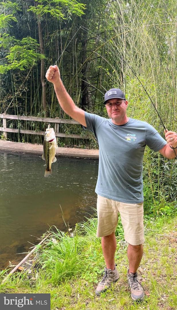 180 FIVE FORKS RD, WOODVILLE, Virginia 22749, 1 Bedroom Bedrooms, ,Farm,For Sale,180 FIVE FORKS RD,VARP2002330 MLS # VARP2002330 180 FIVE FORKS RD, WOODVILLE, Virginia 22749, 1 Bedroom Bedrooms, ,Farm,For Sale,180 FIVE FORKS RD,VARP2002330 MLS # VARP2002330