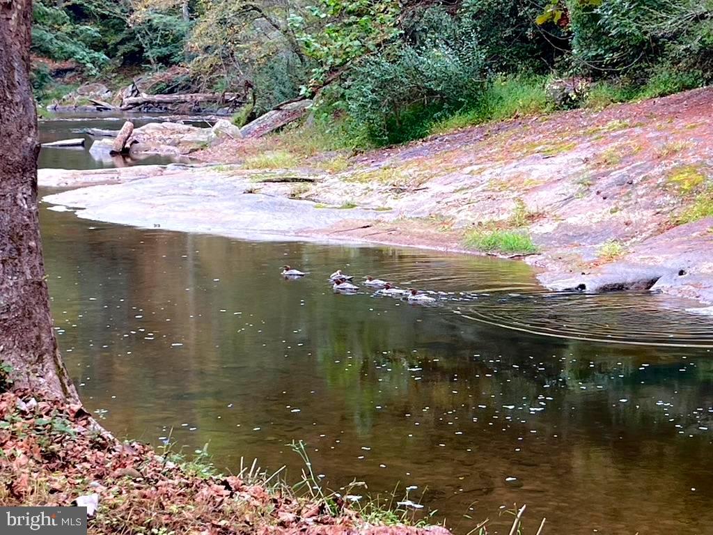 180 FIVE FORKS RD, WOODVILLE, Virginia 22749, 1 Bedroom Bedrooms, ,Farm,For Sale,180 FIVE FORKS RD,VARP2002330 MLS # VARP2002330 180 FIVE FORKS RD, WOODVILLE, Virginia 22749, 1 Bedroom Bedrooms, ,Farm,For Sale,180 FIVE FORKS RD,VARP2002330 MLS # VARP2002330