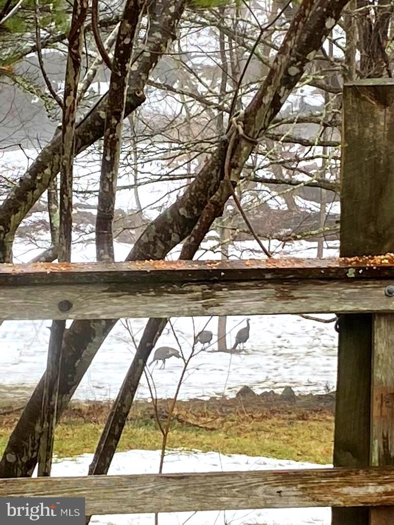 180 FIVE FORKS RD, WOODVILLE, Virginia 22749, 1 Bedroom Bedrooms, ,Farm,For Sale,180 FIVE FORKS RD,VARP2002330 MLS # VARP2002330 180 FIVE FORKS RD, WOODVILLE, Virginia 22749, 1 Bedroom Bedrooms, ,Farm,For Sale,180 FIVE FORKS RD,VARP2002330 MLS # VARP2002330