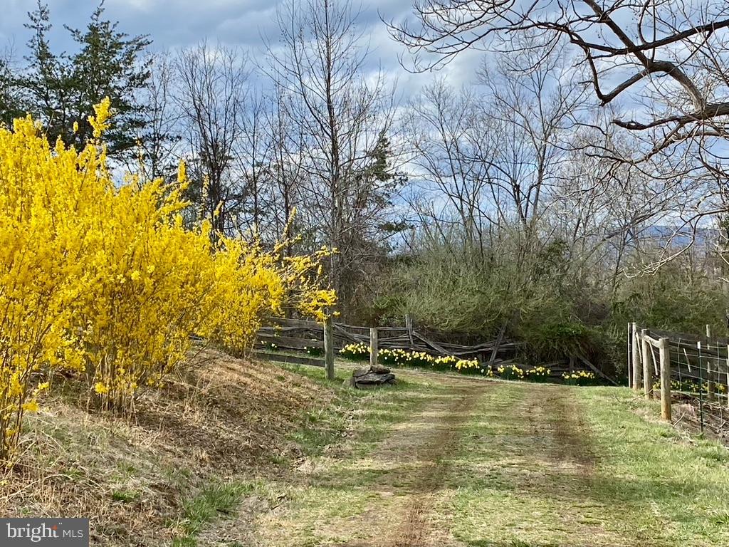 180 FIVE FORKS RD, WOODVILLE, Virginia 22749, 1 Bedroom Bedrooms, ,Farm,For Sale,180 FIVE FORKS RD,VARP2002330 MLS # VARP2002330 180 FIVE FORKS RD, WOODVILLE, Virginia 22749, 1 Bedroom Bedrooms, ,Farm,For Sale,180 FIVE FORKS RD,VARP2002330 MLS # VARP2002330