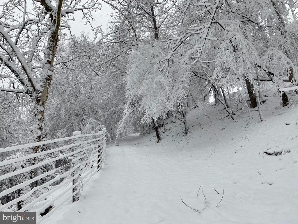 180 FIVE FORKS RD, WOODVILLE, Virginia 22749, 1 Bedroom Bedrooms, ,Farm,For Sale,180 FIVE FORKS RD,VARP2002330 MLS # VARP2002330 180 FIVE FORKS RD, WOODVILLE, Virginia 22749, 1 Bedroom Bedrooms, ,Farm,For Sale,180 FIVE FORKS RD,VARP2002330 MLS # VARP2002330