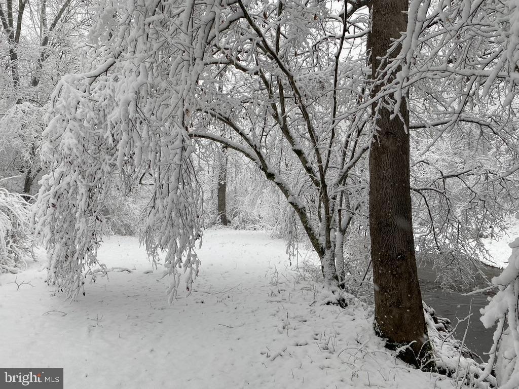 180 FIVE FORKS RD, WOODVILLE, Virginia 22749, 1 Bedroom Bedrooms, ,Farm,For Sale,180 FIVE FORKS RD,VARP2002330 MLS # VARP2002330 180 FIVE FORKS RD, WOODVILLE, Virginia 22749, 1 Bedroom Bedrooms, ,Farm,For Sale,180 FIVE FORKS RD,VARP2002330 MLS # VARP2002330