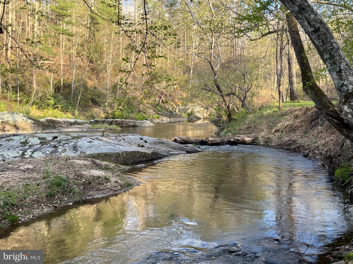 180 FIVE FORKS RD, WOODVILLE, Virginia 22749, 1 Bedroom Bedrooms, ,Farm,For Sale,180 FIVE FORKS RD,VARP2002330 MLS # VARP2002330 180 FIVE FORKS RD, WOODVILLE, Virginia 22749, 1 Bedroom Bedrooms, ,Farm,For Sale,180 FIVE FORKS RD,VARP2002330 MLS # VARP2002330