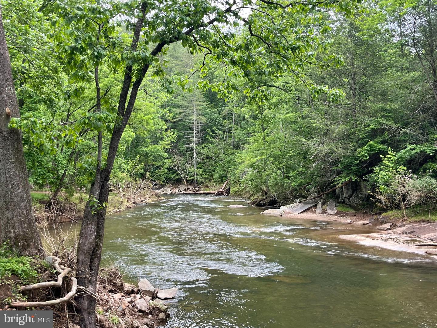 180 FIVE FORKS RD, WOODVILLE, Virginia 22749, 1 Bedroom Bedrooms, ,Farm,For Sale,180 FIVE FORKS RD,VARP2002330 MLS # VARP2002330 180 FIVE FORKS RD, WOODVILLE, Virginia 22749, 1 Bedroom Bedrooms, ,Farm,For Sale,180 FIVE FORKS RD,VARP2002330 MLS # VARP2002330