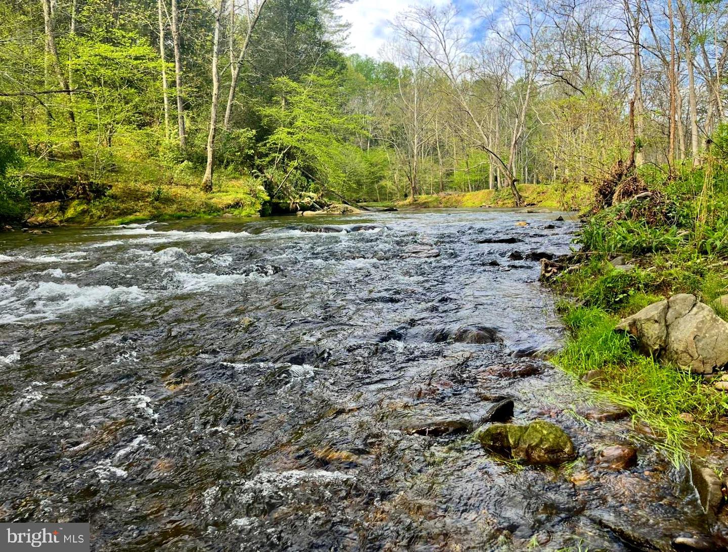 180 FIVE FORKS RD, WOODVILLE, Virginia 22749, 1 Bedroom Bedrooms, ,Farm,For Sale,180 FIVE FORKS RD,VARP2002330 MLS # VARP2002330 180 FIVE FORKS RD, WOODVILLE, Virginia 22749, 1 Bedroom Bedrooms, ,Farm,For Sale,180 FIVE FORKS RD,VARP2002330 MLS # VARP2002330