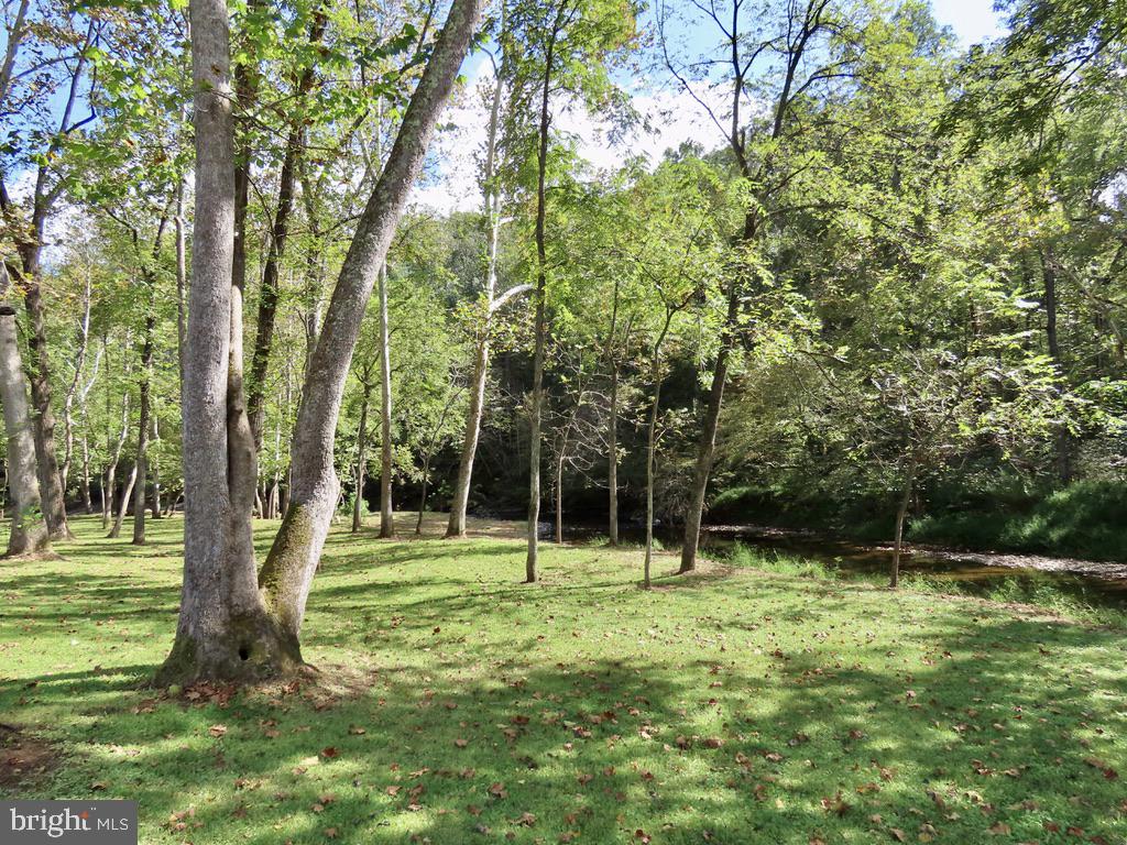 180 FIVE FORKS RD, WOODVILLE, Virginia 22749, 1 Bedroom Bedrooms, ,Farm,For Sale,180 FIVE FORKS RD,VARP2002330 MLS # VARP2002330 180 FIVE FORKS RD, WOODVILLE, Virginia 22749, 1 Bedroom Bedrooms, ,Farm,For Sale,180 FIVE FORKS RD,VARP2002330 MLS # VARP2002330