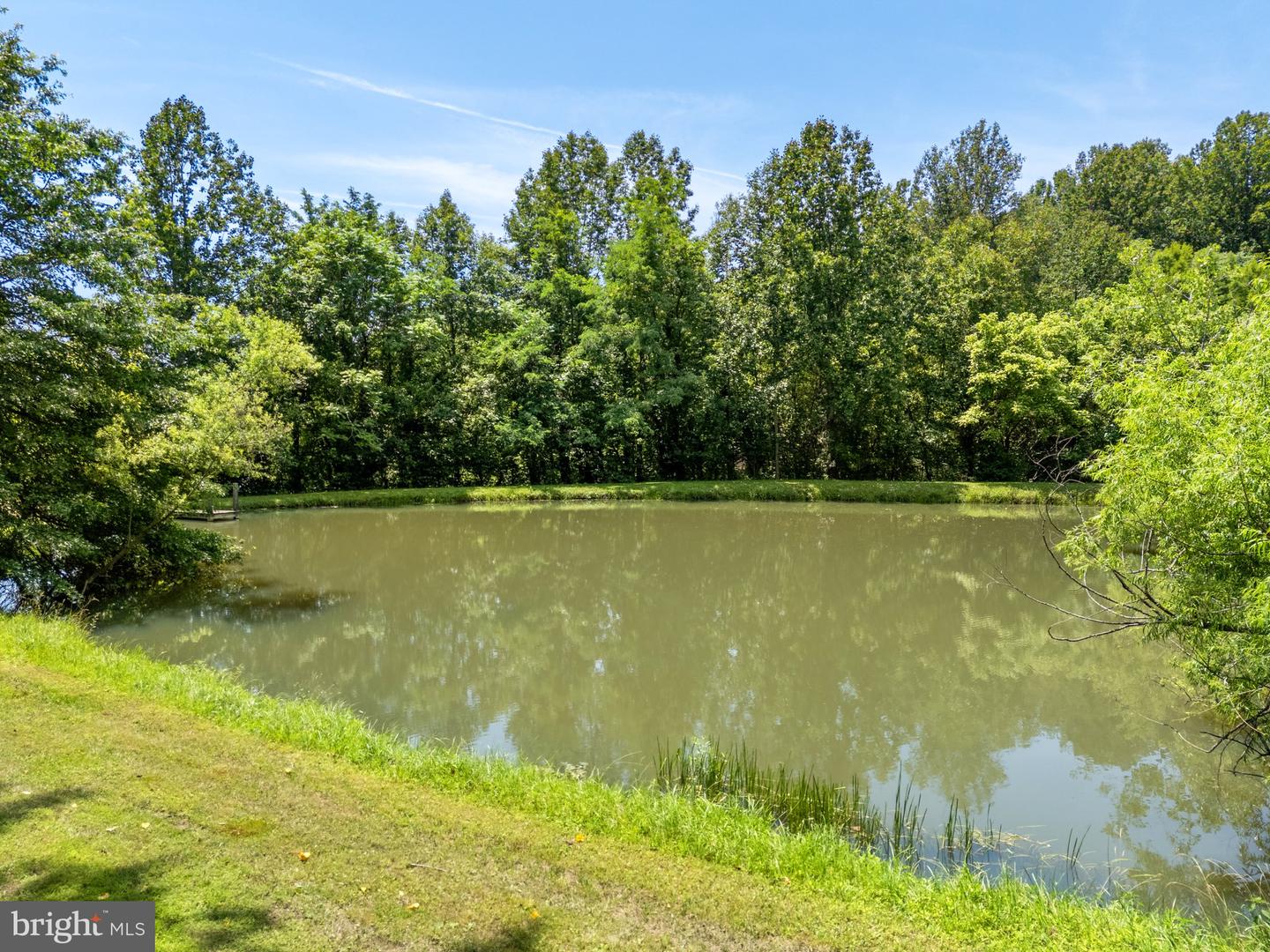 156 BEAR WALLOW RD, HUNTLY, Virginia 22640, 4 Bedrooms Bedrooms, ,5 BathroomsBathrooms,Farm,For Sale,156 BEAR WALLOW RD,VARP2002334 MLS # VARP2002334 156 BEAR WALLOW RD, HUNTLY, Virginia 22640, 4 Bedrooms Bedrooms, ,5 BathroomsBathrooms,Farm,For Sale,156 BEAR WALLOW RD,VARP2002334 MLS # VARP2002334