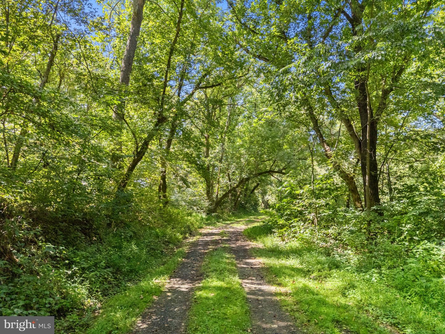 9533 HOWELLSVILLE RD, BOYCE, Virginia 22620, 4 Bedrooms Bedrooms, ,4 BathroomsBathrooms,Farm,For Sale,9533 HOWELLSVILLE RD,VACL2006148 MLS # VACL2006148
