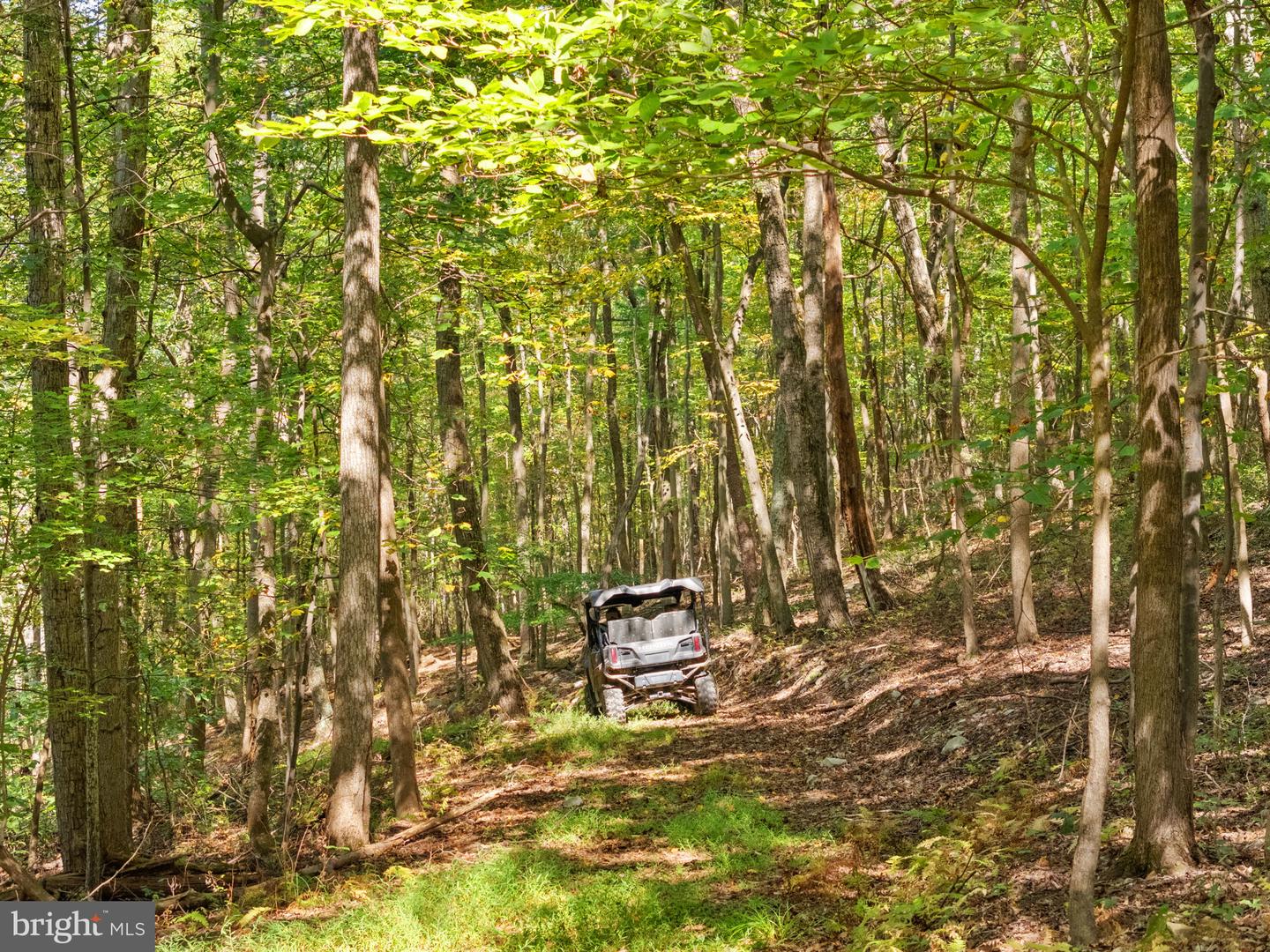 9533 HOWELLSVILLE RD, BOYCE, Virginia 22620, 4 Bedrooms Bedrooms, ,4 BathroomsBathrooms,Farm,For Sale,9533 HOWELLSVILLE RD,VACL2006148 MLS # VACL2006148