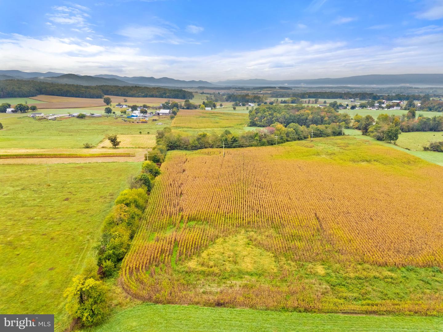 0 FAIRVIEW RD, LURAY, Virginia 22835, ,Land,For Sale,0 FAIRVIEW RD,VAPA2005502 MLS # VAPA2005502