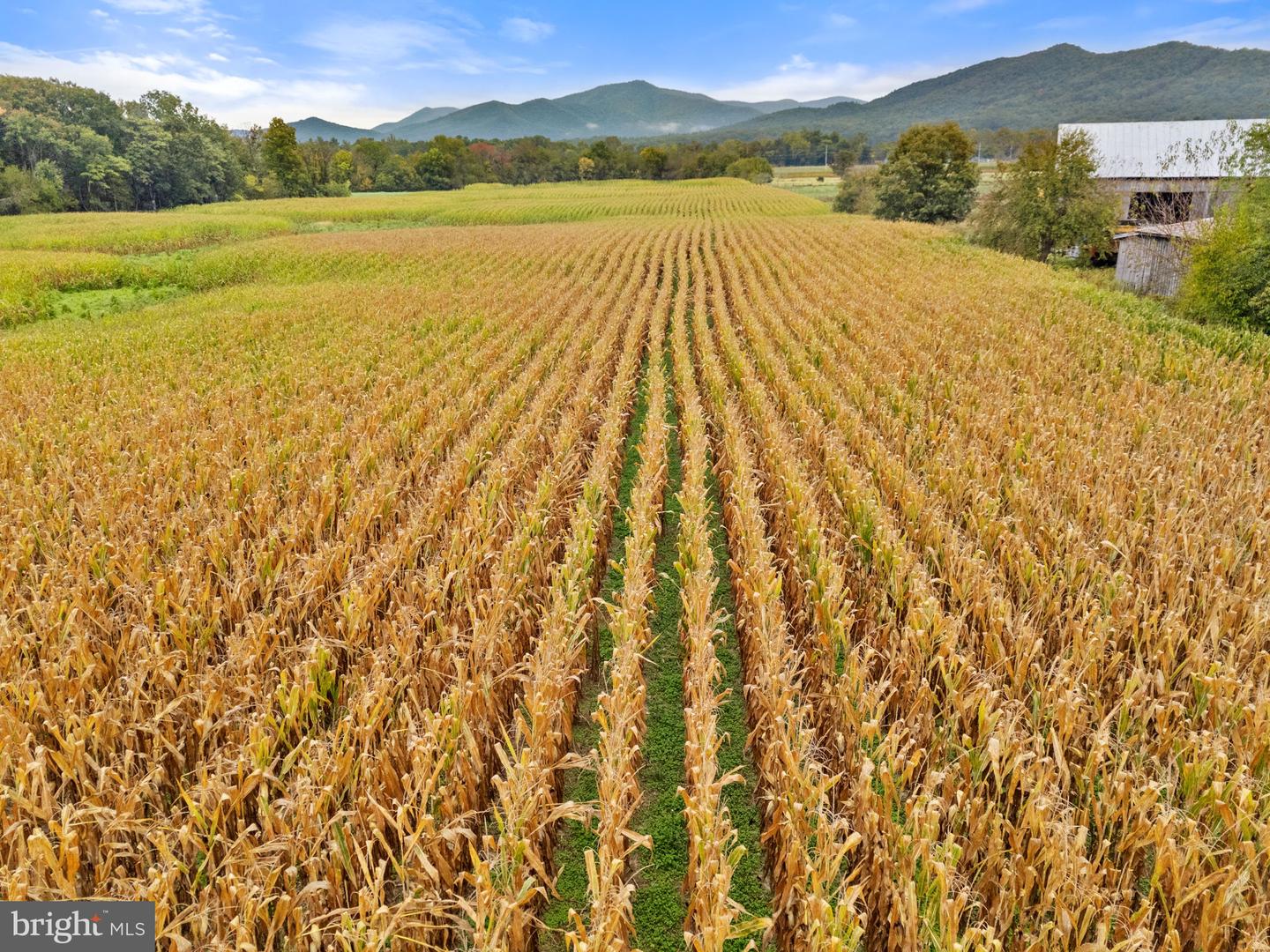 0 FAIRVIEW RD, LURAY, Virginia 22835, ,Land,For Sale,0 FAIRVIEW RD,VAPA2005502 MLS # VAPA2005502