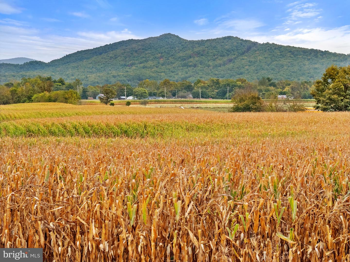 0 FAIRVIEW RD, LURAY, Virginia 22835, ,Land,For Sale,0 FAIRVIEW RD,VAPA2005502 MLS # VAPA2005502