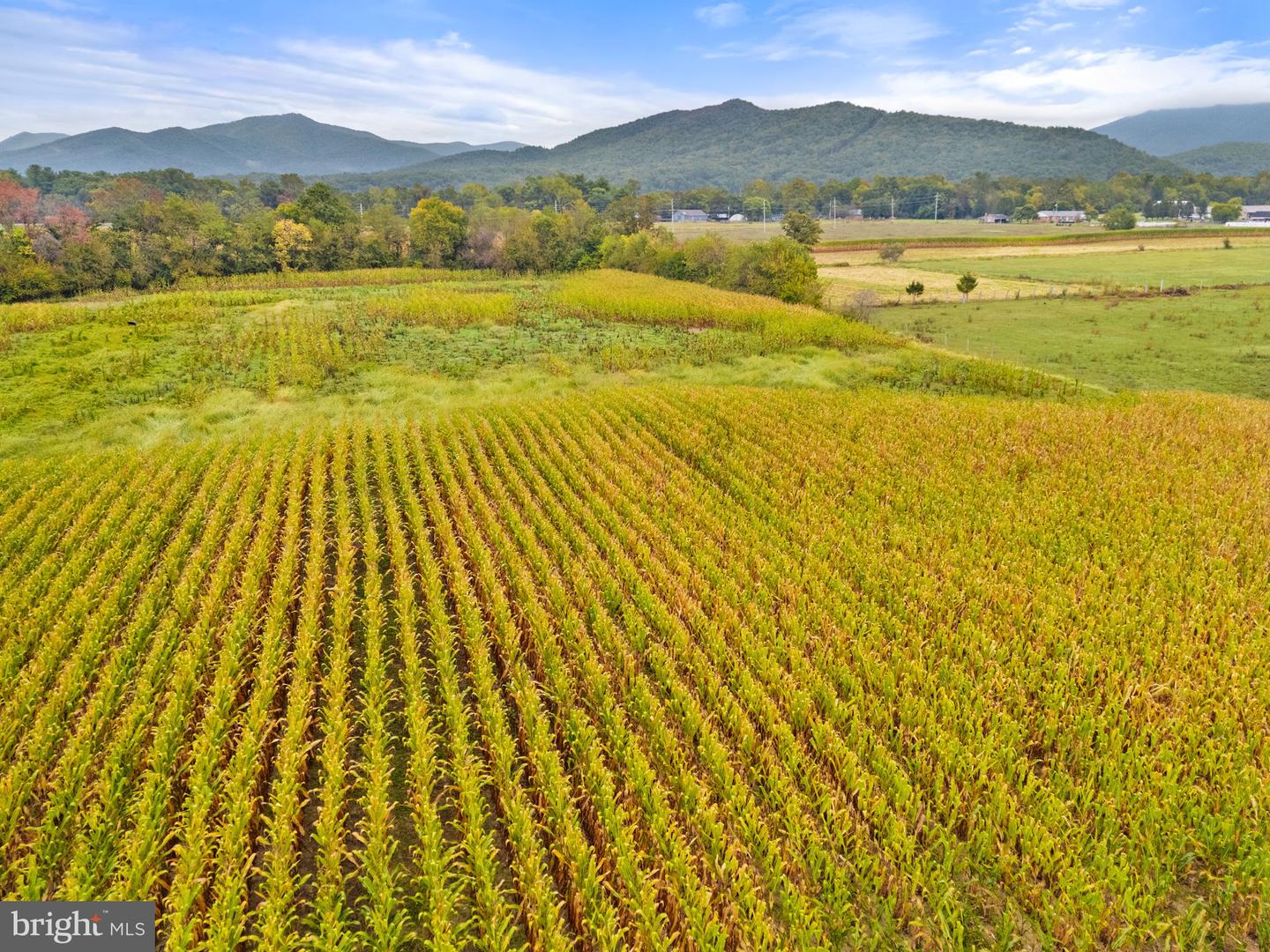 0 FAIRVIEW RD, LURAY, Virginia 22835, ,Land,For Sale,0 FAIRVIEW RD,VAPA2005502 MLS # VAPA2005502