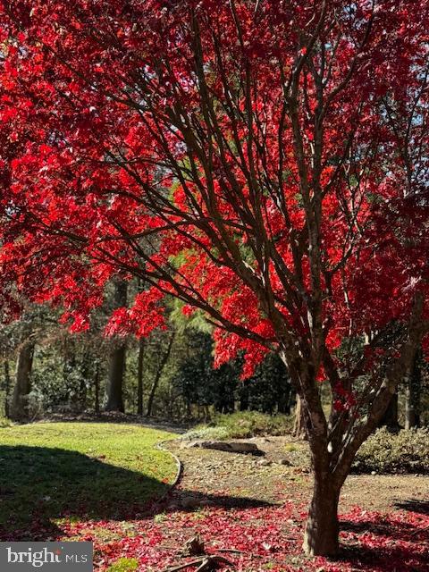 3535 MEADOW RD, SANDSTON, Virginia 23150, 5 Bedrooms Bedrooms, 13 Rooms Rooms,4 BathroomsBathrooms,Residential,For Sale,3535 MEADOW RD,VAHN2001086 MLS # VAHN2001086 3535 MEADOW RD, SANDSTON, Virginia 23150, 5 Bedrooms Bedrooms, 13 Rooms Rooms,4 BathroomsBathrooms,Residential,For Sale,3535 MEADOW RD,VAHN2001086 MLS # VAHN2001086