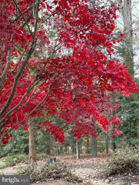 3535 MEADOW RD, SANDSTON, Virginia 23150, 5 Bedrooms Bedrooms, 13 Rooms Rooms,4 BathroomsBathrooms,Residential,For Sale,3535 MEADOW RD,VAHN2001086 MLS # VAHN2001086 3535 MEADOW RD, SANDSTON, Virginia 23150, 5 Bedrooms Bedrooms, 13 Rooms Rooms,4 BathroomsBathrooms,Residential,For Sale,3535 MEADOW RD,VAHN2001086 MLS # VAHN2001086