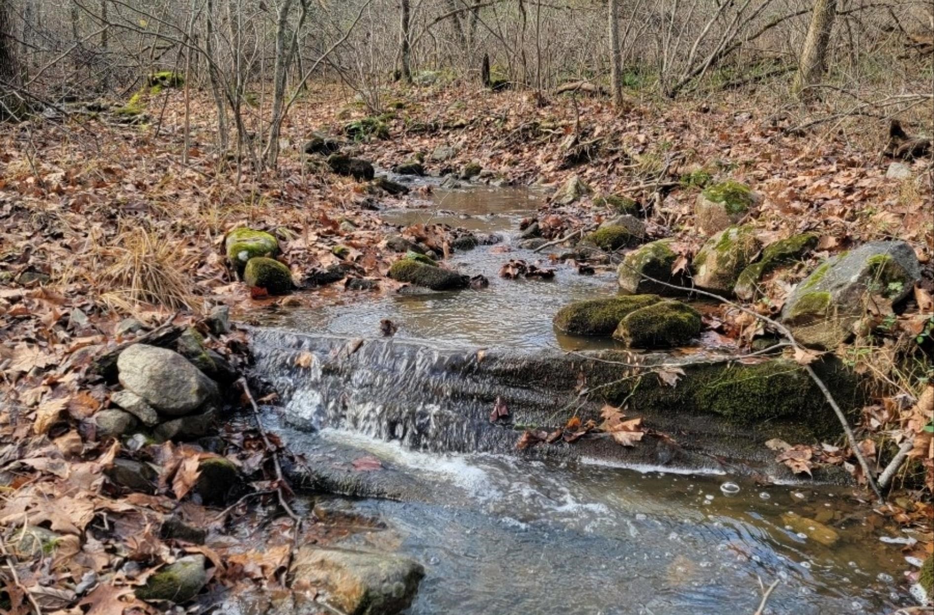 tbd MIRACLE RIDGE RD, ELKTON, Virginia 22827, ,Land,14,tbd MIRACLE RIDGE RD,670109 MLS # 670109 tbd MIRACLE RIDGE RD, ELKTON, Virginia 22827, ,Land,14,tbd MIRACLE RIDGE RD,670109 MLS # 670109