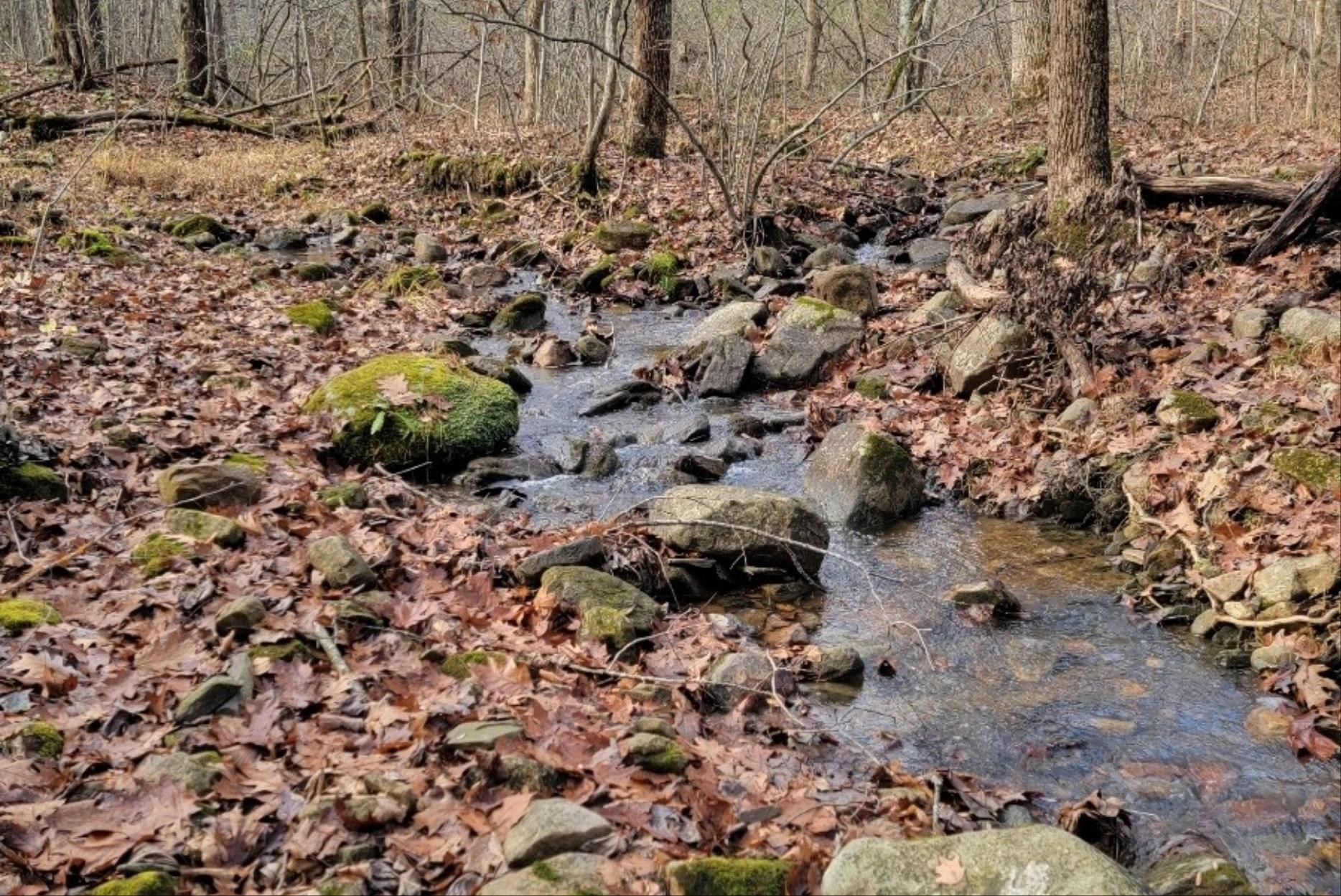 tbd MIRACLE RIDGE RD, ELKTON, Virginia 22827, ,Land,14,tbd MIRACLE RIDGE RD,670109 MLS # 670109 tbd MIRACLE RIDGE RD, ELKTON, Virginia 22827, ,Land,14,tbd MIRACLE RIDGE RD,670109 MLS # 670109