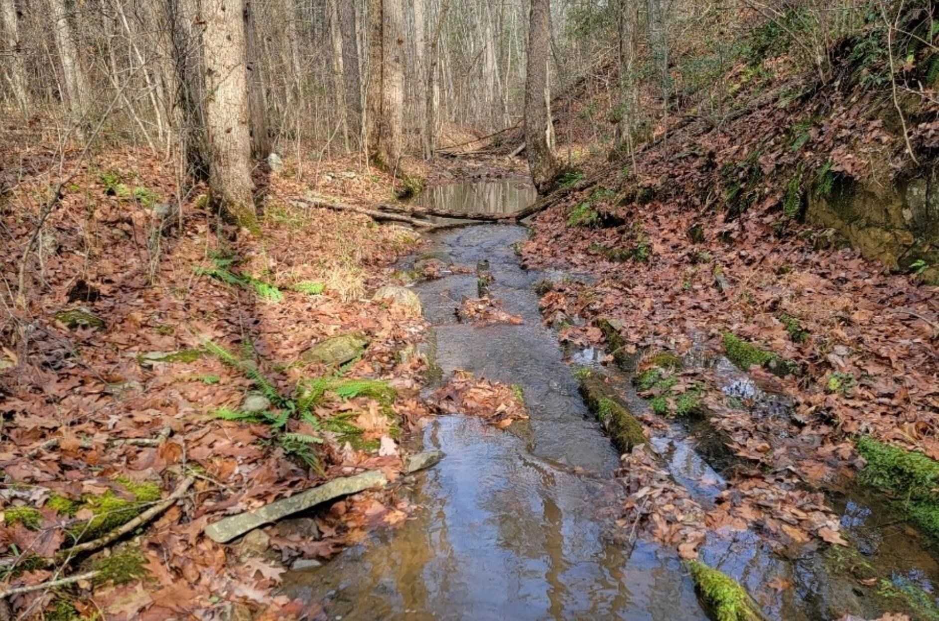 tbd MIRACLE RIDGE RD, ELKTON, Virginia 22827, ,Land,14,tbd MIRACLE RIDGE RD,670109 MLS # 670109 tbd MIRACLE RIDGE RD, ELKTON, Virginia 22827, ,Land,14,tbd MIRACLE RIDGE RD,670109 MLS # 670109