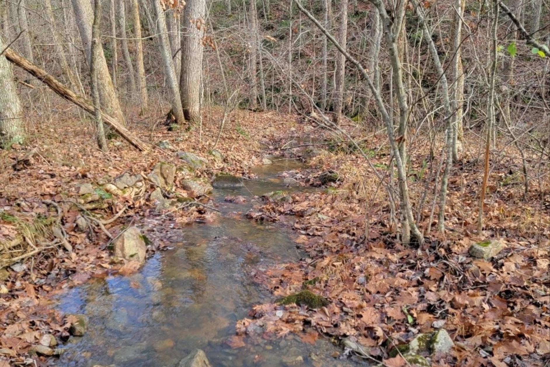 tbd MIRACLE RIDGE RD, ELKTON, Virginia 22827, ,Land,14,tbd MIRACLE RIDGE RD,670109 MLS # 670109 tbd MIRACLE RIDGE RD, ELKTON, Virginia 22827, ,Land,14,tbd MIRACLE RIDGE RD,670109 MLS # 670109