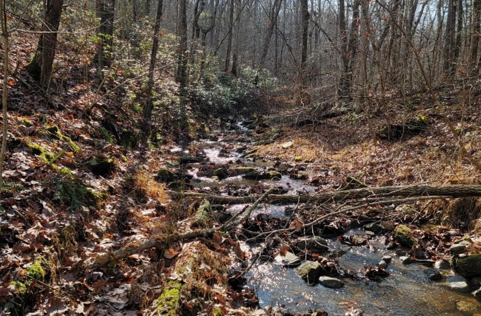 tbd MIRACLE RIDGE RD, ELKTON, Virginia 22827, ,Land,14,tbd MIRACLE RIDGE RD,670109 MLS # 670109 tbd MIRACLE RIDGE RD, ELKTON, Virginia 22827, ,Land,14,tbd MIRACLE RIDGE RD,670109 MLS # 670109