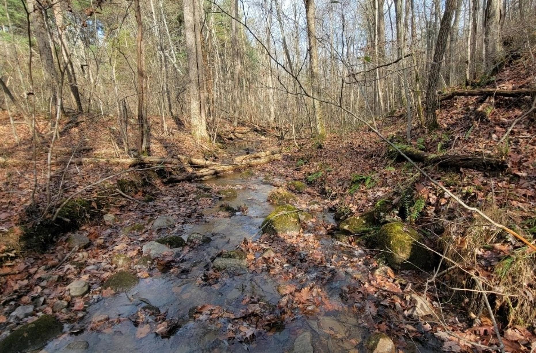 tbd MIRACLE RIDGE RD, ELKTON, Virginia 22827, ,Land,14,tbd MIRACLE RIDGE RD,670109 MLS # 670109 tbd MIRACLE RIDGE RD, ELKTON, Virginia 22827, ,Land,14,tbd MIRACLE RIDGE RD,670109 MLS # 670109