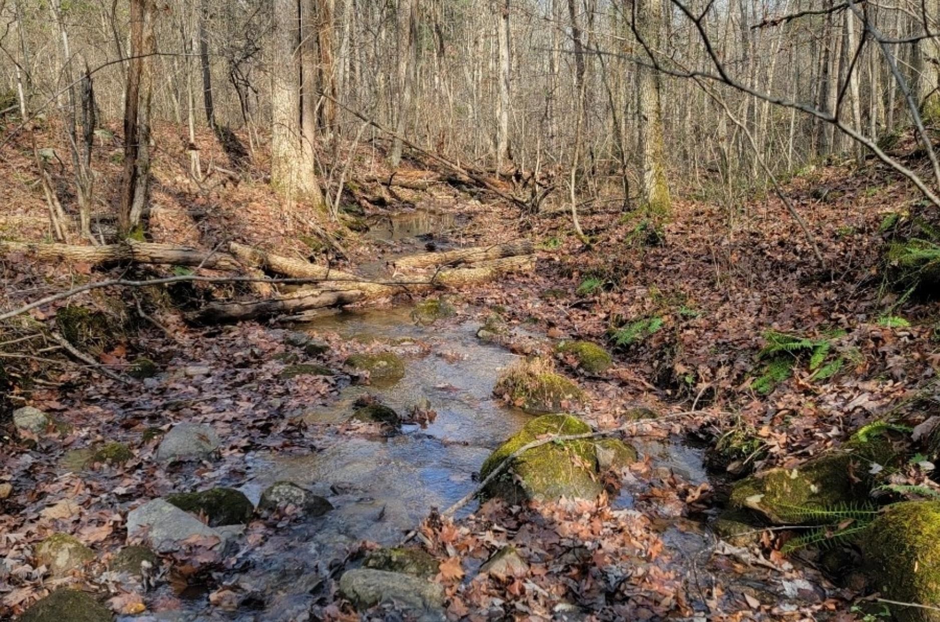 tbd MIRACLE RIDGE RD, ELKTON, Virginia 22827, ,Land,14,tbd MIRACLE RIDGE RD,670109 MLS # 670109 tbd MIRACLE RIDGE RD, ELKTON, Virginia 22827, ,Land,14,tbd MIRACLE RIDGE RD,670109 MLS # 670109