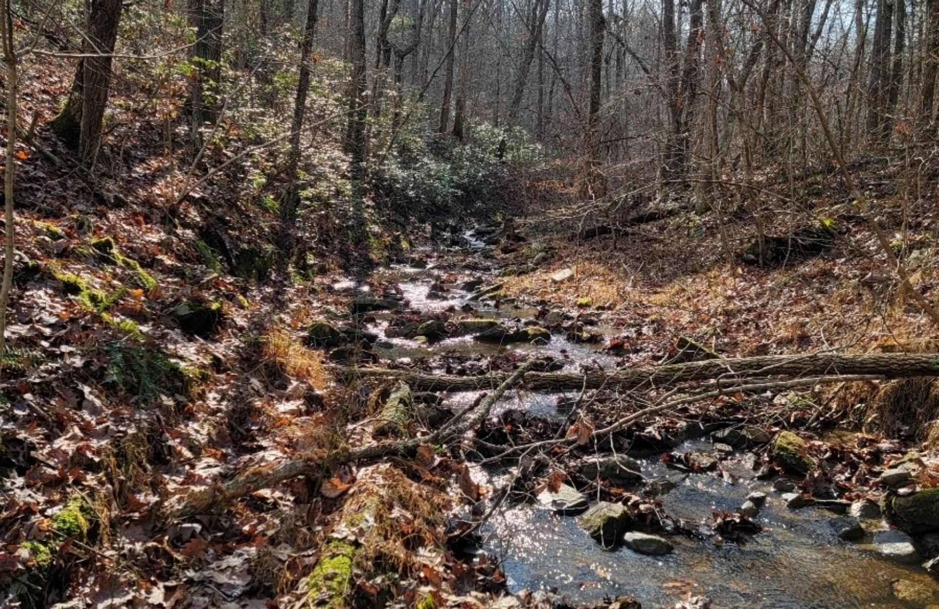 tbd MIRACLE RIDGE RD, ELKTON, Virginia 22827, ,Land,14,tbd MIRACLE RIDGE RD,670109 MLS # 670109 tbd MIRACLE RIDGE RD, ELKTON, Virginia 22827, ,Land,14,tbd MIRACLE RIDGE RD,670109 MLS # 670109