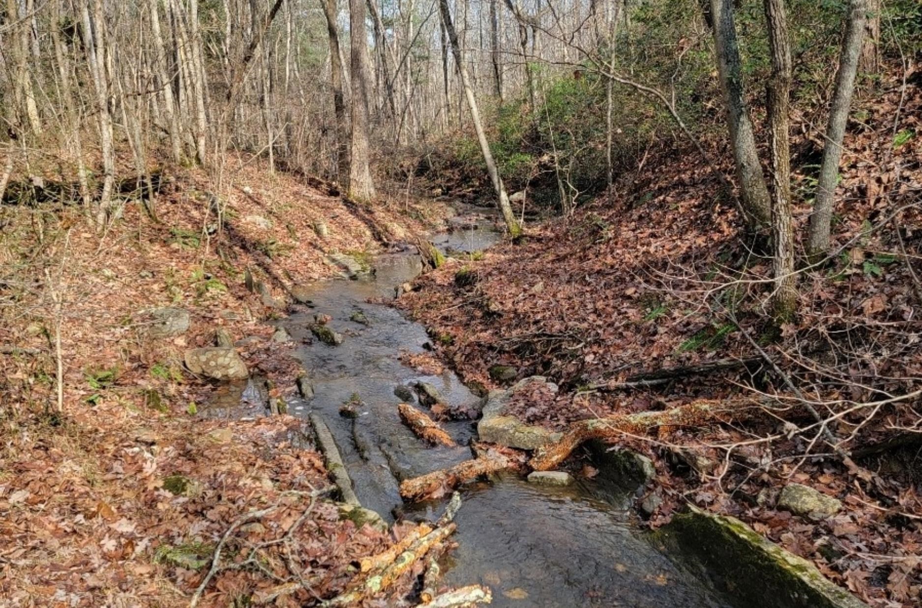 tbd MIRACLE RIDGE RD, ELKTON, Virginia 22827, ,Land,14,tbd MIRACLE RIDGE RD,670109 MLS # 670109 tbd MIRACLE RIDGE RD, ELKTON, Virginia 22827, ,Land,14,tbd MIRACLE RIDGE RD,670109 MLS # 670109