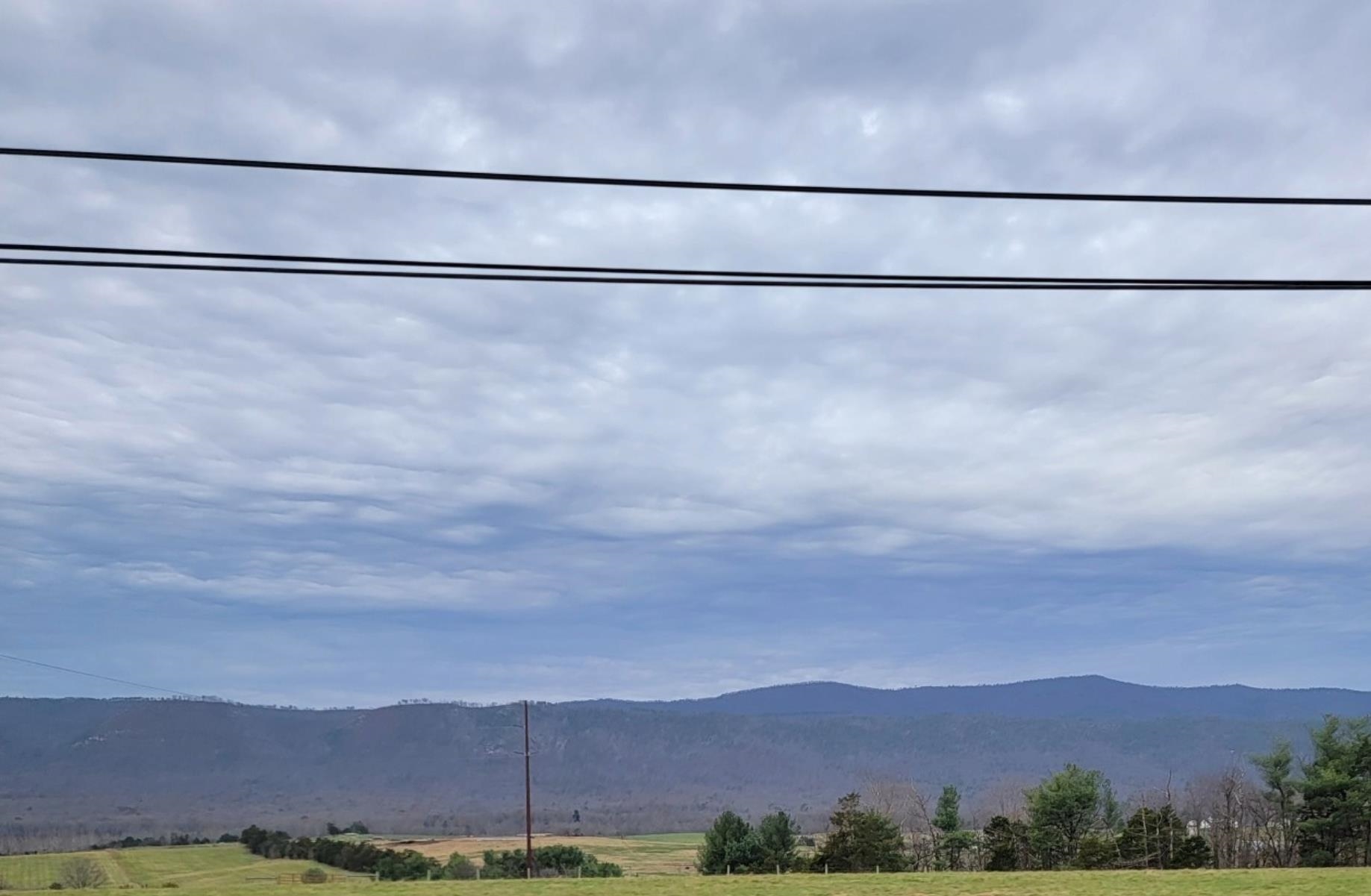 tbd MIRACLE RIDGE RD, ELKTON, Virginia 22827, ,Land,14,tbd MIRACLE RIDGE RD,670109 MLS # 670109 tbd MIRACLE RIDGE RD, ELKTON, Virginia 22827, ,Land,14,tbd MIRACLE RIDGE RD,670109 MLS # 670109