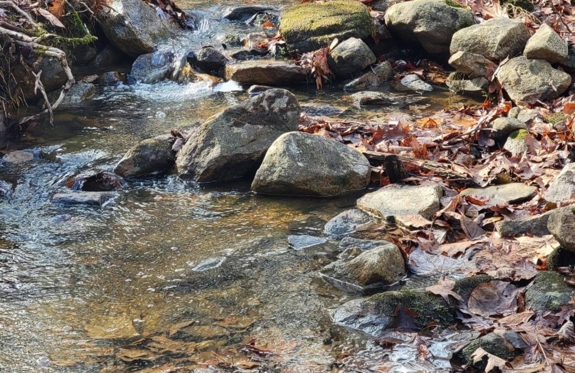 tbd MIRACLE RIDGE RD, ELKTON, Virginia 22827, ,Land,14,tbd MIRACLE RIDGE RD,670109 MLS # 670109 tbd MIRACLE RIDGE RD, ELKTON, Virginia 22827, ,Land,14,tbd MIRACLE RIDGE RD,670109 MLS # 670109