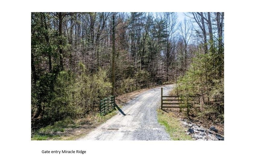 tbd MIRACLE RIDGE RD, ELKTON, Virginia 22827, ,Land,14,tbd MIRACLE RIDGE RD,670109 MLS # 670109 tbd MIRACLE RIDGE RD, ELKTON, Virginia 22827, ,Land,14,tbd MIRACLE RIDGE RD,670109 MLS # 670109