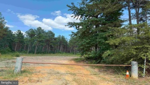 HOLLAND ROAD (TRACT: JR BEDFORD-BOWLES_SIMS-2), COLUMBIA, Virginia 23038, ,Farm,For Sale,HOLLAND ROAD (TRACT: JR BEDFORD-BOWLES_SIMS-2),VAFN2000520 MLS # VAFN2000520