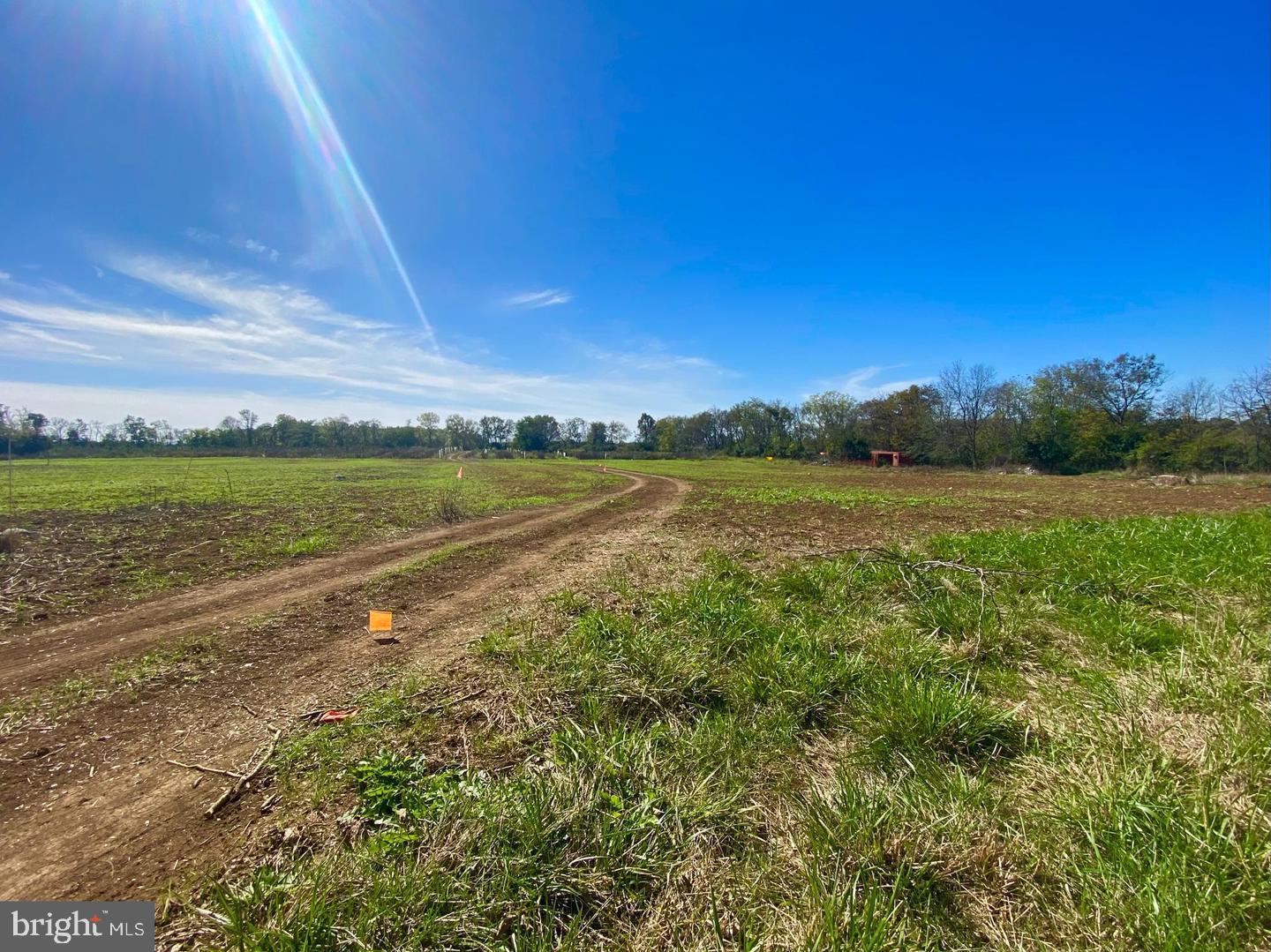 737 LONGMARSH RD, BERRYVILLE, Virginia 22611, ,Farm,For Sale,737 LONGMARSH RD,VACL2006150 MLS # VACL2006150 737 LONGMARSH RD, BERRYVILLE, Virginia 22611, ,Farm,For Sale,737 LONGMARSH RD,VACL2006150 MLS # VACL2006150
