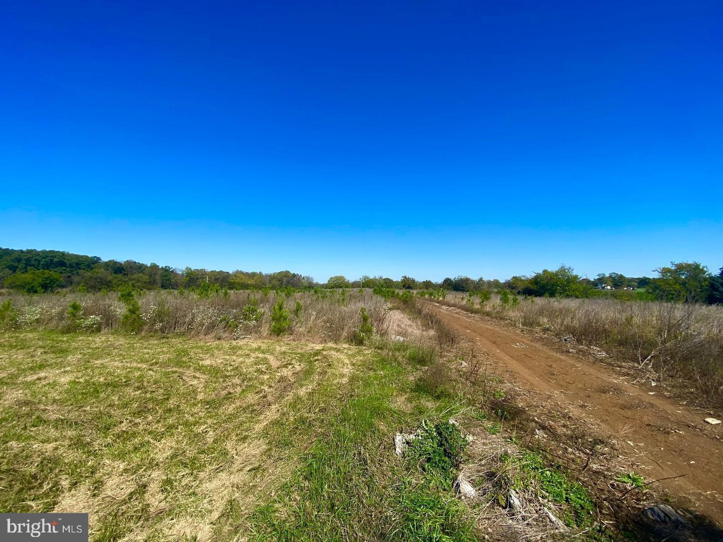 737 LONGMARSH RD, BERRYVILLE, Virginia 22611, ,Farm,For Sale,737 LONGMARSH RD,VACL2006150 MLS # VACL2006150 737 LONGMARSH RD, BERRYVILLE, Virginia 22611, ,Farm,For Sale,737 LONGMARSH RD,VACL2006150 MLS # VACL2006150