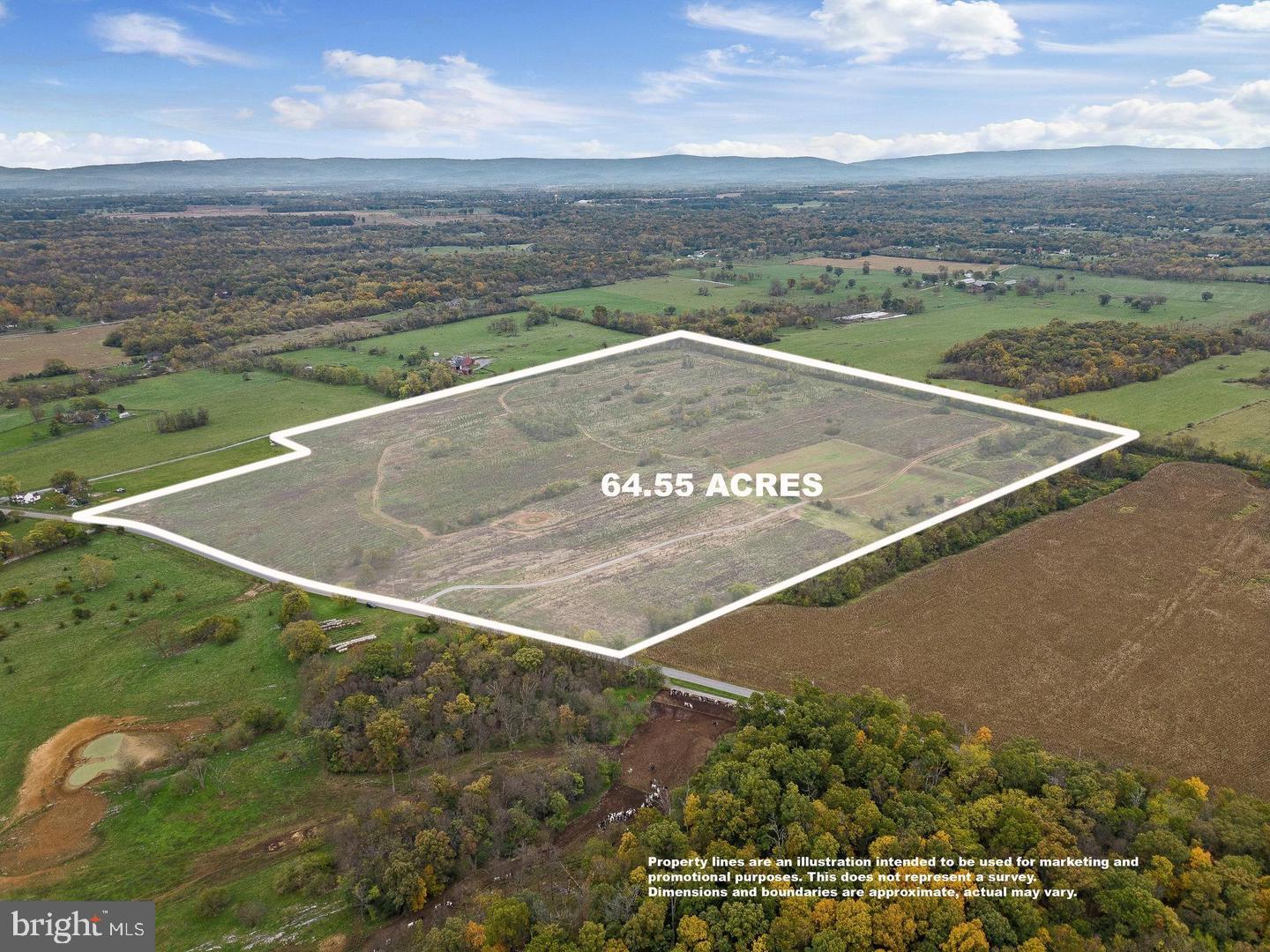 737 LONGMARSH RD, BERRYVILLE, Virginia 22611, ,Farm,For Sale,737 LONGMARSH RD,VACL2006150 MLS # VACL2006150 737 LONGMARSH RD, BERRYVILLE, Virginia 22611, ,Farm,For Sale,737 LONGMARSH RD,VACL2006150 MLS # VACL2006150