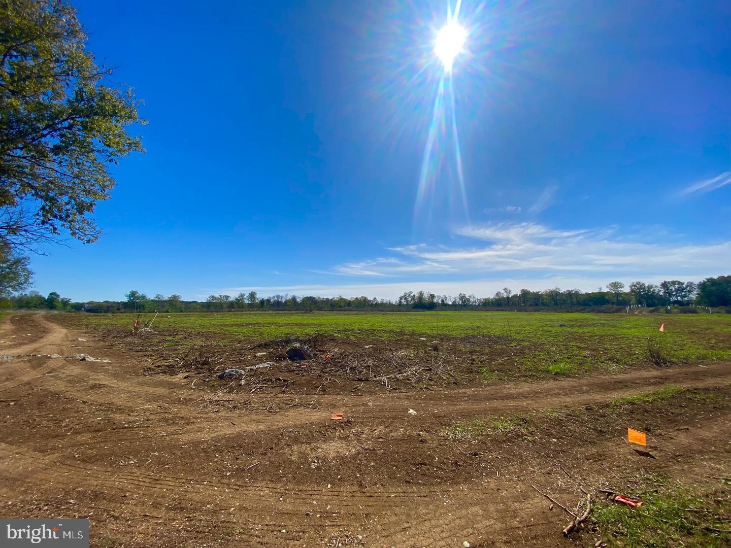 737 LONGMARSH RD, BERRYVILLE, Virginia 22611, ,Farm,For Sale,737 LONGMARSH RD,VACL2006150 MLS # VACL2006150 737 LONGMARSH RD, BERRYVILLE, Virginia 22611, ,Farm,For Sale,737 LONGMARSH RD,VACL2006150 MLS # VACL2006150