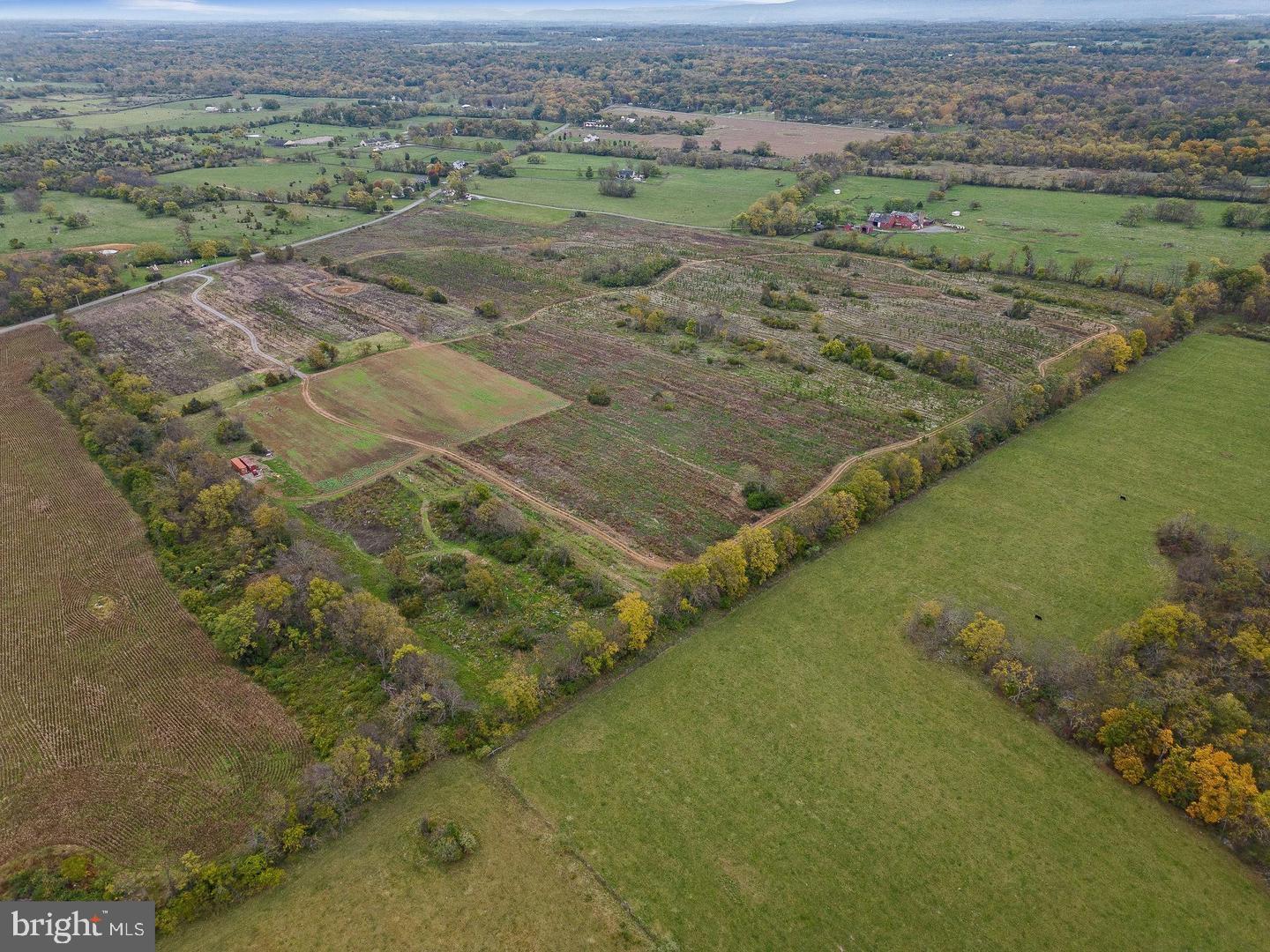 737 LONGMARSH RD, BERRYVILLE, Virginia 22611, ,Farm,For Sale,737 LONGMARSH RD,VACL2006150 MLS # VACL2006150 737 LONGMARSH RD, BERRYVILLE, Virginia 22611, ,Farm,For Sale,737 LONGMARSH RD,VACL2006150 MLS # VACL2006150