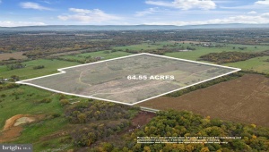 737 LONGMARSH RD, BERRYVILLE, Virginia 22611, ,Farm,For Sale,737 LONGMARSH RD,VACL2006150 MLS # VACL2006150